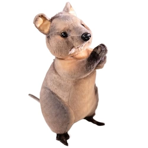 KUKUShining Waschbär Plüschtier, Weiches Kuscheliges Stofftier Otter Puppe Känguru Plüschtier Umarmungskissen Geburtstagsgeschenk for Kinder(Kangaroo) von KUKUShining
