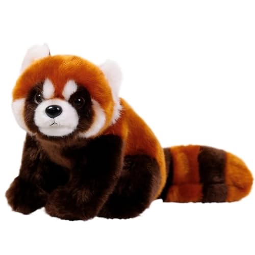 KUKUShining Weiches Waschbär Plüschtier, Kuschelige Simulation Kuscheltier Plüschkissen Puppe for Jungen Und Mädchen Geburtstagsgeschenk(Lying) von KUKUShining