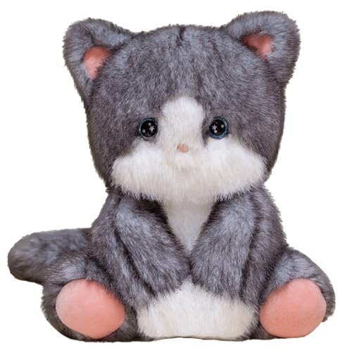 Katze Kuscheltier, Weiches Plüschtier Kuscheliges Stofftier Kätzchen Plüsch Spielzeug Cartoon Kissen Zum Umarmen Entspannen Für Kinder(Gray) von KUKUShining