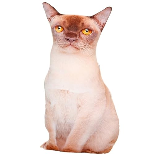 Katze Kuscheltier, Weiches Stofftier Zierkissen Plüschtier Süße Dekokissen Kopfkissen Kätzchen Plüsch Spielzeug Für Kinder(Burmesecat) von KUKUShining
