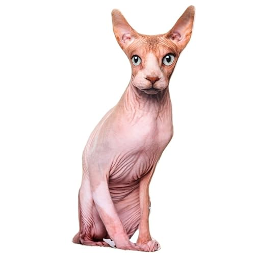 Katze Kuscheltier, Weiches Stofftier Zierkissen Plüschtier Süße Dekokissen Kopfkissen Kätzchen Plüsch Spielzeug Für Kinder(Hairlesscat) von KUKUShining