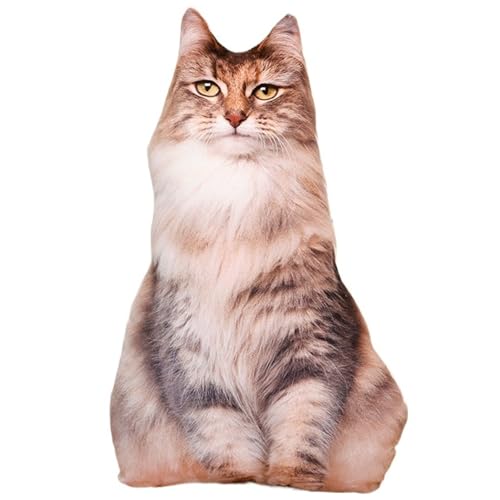 Katze Kuscheltier, Weiches Stofftier Zierkissen Plüschtier Süße Dekokissen Kopfkissen Kätzchen Plüsch Spielzeug Für Kinder(Mainecooncat) von KUKUShining
