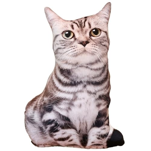 Katze Kuscheltier, Weiches Stofftier Zierkissen Plüschtier Süße Dekokissen Kopfkissen Kätzchen Plüsch Spielzeug Für Kinder(Shorthaircat) von KUKUShining
