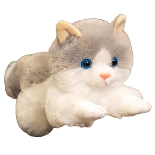 Katze Plüsch, Kawaii Stofftier Kätzchen Kuscheltier Puppe Kuschelweiches Plüschkissen Plüschtier Für Kinder Erwachsene(Gray) von KUKUShining