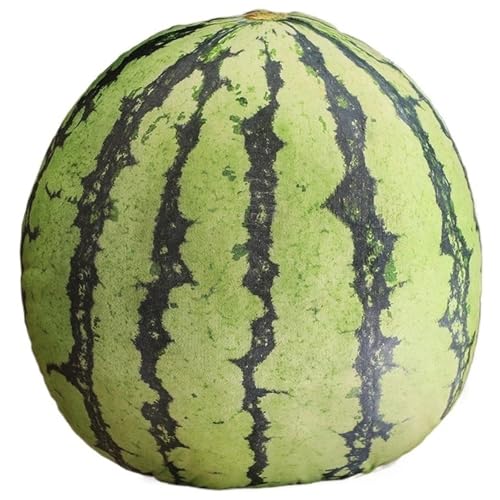 Obst Plüsch, Gefälschte Früchte Künstliches Apfelkissen Wassermelonen Dekokissen Plüsch Spielzeug Für Die Küchendekoration(Watermelon) von KUKUShining