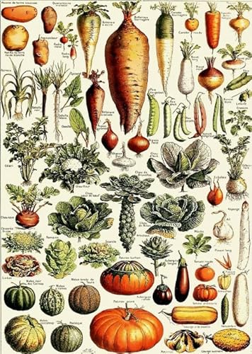 1000-teiliges Puzzle, Vintage-Melonen und Früchte, Blumen, Pflanzen, Wandkunst, Poster für Erwachsene, Spielzeug, Dekompressionsspiel, Qz558Yk, 50 x 70 cm 1000-teiliges Puzzle, Vintage-Melonen und Früchte, Blumen, Pflanzen, Wandkunst, Poster für Erwachsene, Spielzeug, Dekompressionsspiel, Qz558Yk, 50 x 70 cm von KUTDE