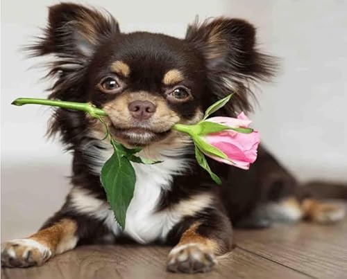 1000-teiliges Puzzle mit Hunde- und Blumenpostern, lustiges Spiel, Lernspielzeug für Erwachsene Xq266Zp 26x38CM 1000-teiliges Puzzle mit Hunde- und Blumenpostern, lustiges Spiel, Lernspielzeug für Erwachsene Xq266Zp 26x38CM von KUTDE
