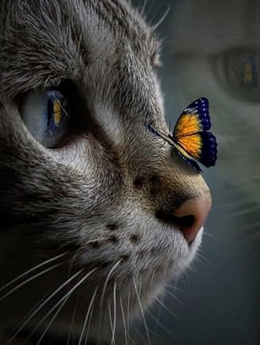 1000-teiliges Puzzle mit Katzen- und Schmetterlingsmotiven, Lernspielzeug für Erwachsene Qz53Yk 38x52CM 1000-teiliges Puzzle mit Katzen- und Schmetterlingsmotiven, Lernspielzeug für Erwachsene Qz53Yk 38x52CM von KUTDE