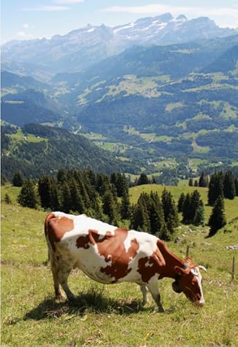 1000-teiliges Puzzle mit Tierkühen, Poster zum Spaß für Erwachsene, Puzzle-Spielzeug für die ganze Familie, Stressabbau-Spiele, Qz779Yk, 50 x 70 cm von KUTDE