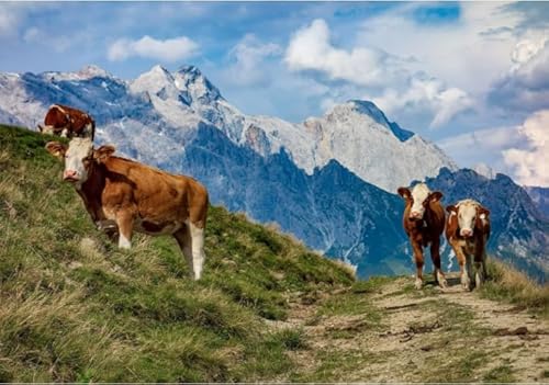 1000-teiliges Puzzle mit Tierkühen, Poster zum Spaß für Erwachsene, Puzzlespielzeug, Familien-Stressabbauspiele, Qz781Yk, 50 x 70 cm 1000-teiliges Puzzle mit Tierkühen, Poster zum Spaß für Erwachsene, Puzzlespielzeug, Familien-Stressabbauspiele, Qz781Yk, 50 x 70 cm von KUTDE