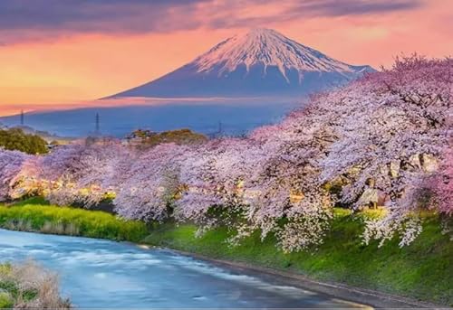 2000 Teilen Puzzle Japanische Landschaft Wandkunst Poster für Spielzeug für Erwachsene Dekompressionsspiel Gt241Zw 70x100CM von KUTDE