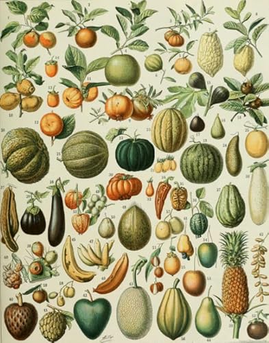 2000-teiliges Puzzle, Vintage-Melonen und Früchte, Blumen, Pflanzen, Wandkunst, Poster für Spielzeug für Erwachsene, Dekompressionsspiel, 70 x 100 cm 2000-teiliges Puzzle, Vintage-Melonen und Früchte, Blumen, Pflanzen, Wandkunst, Poster für Spielzeug für Erwachsene, Dekompressionsspiel, 70 x 100 cm von KUTDE