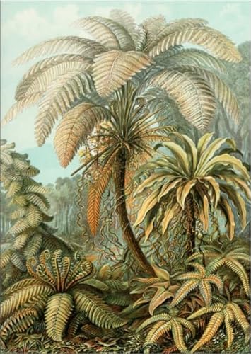 Das Puzzle 1000 Teile Vintage Tropische Pflanzen Poster Puzzle für Erwachsene Familien-Lernspielzeug Kx421Zy 50x70CM Das Puzzle 1000 Teile Vintage Tropische Pflanzen Poster Puzzle für Erwachsene Familien-Lernspielzeug Kx421Zy 50x70CM von KUTDE