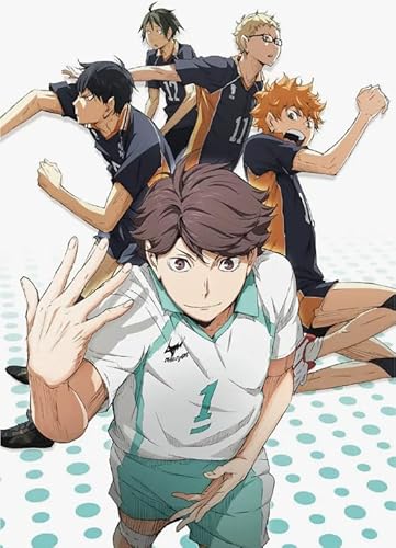 Puzzle 1000 Teile Japanische Anime Haikyuu!! für Erwachsene Familienspiele Lernspielzeug Xq79Zy 26x38CM von KUTDE