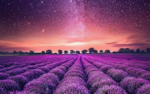 Puzzle 1000 Teile Landschaft Lavendel Blumen Meer Poster Puzzles Lernspielzeug für Erwachsene Qw281Zp 50x70CM Puzzle 1000 Teile Landschaft Lavendel Blumen Meer Poster Puzzles Lernspielzeug für Erwachsene Qw281Zp 50x70CM von KUTDE