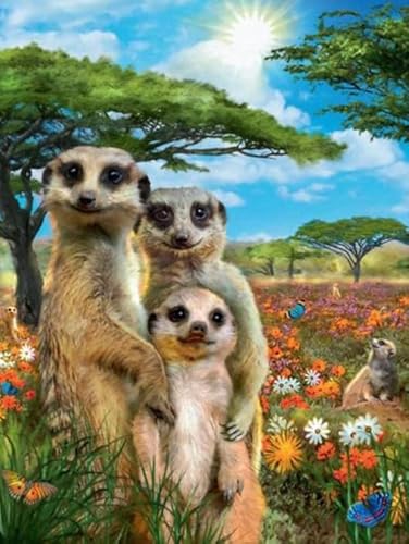 Puzzle 1000 Teile Tier-Erdmännchen-Poster für Erwachsene und Familien, Puzzlespielzeug, Dekompressionsspiel, Xq300Zp, 50 x 70 cm Puzzle 1000 Teile Tier-Erdmännchen-Poster für Erwachsene und Familien, Puzzlespielzeug, Dekompressionsspiel, Xq300Zp, 50 x 70 cm von KUTDE