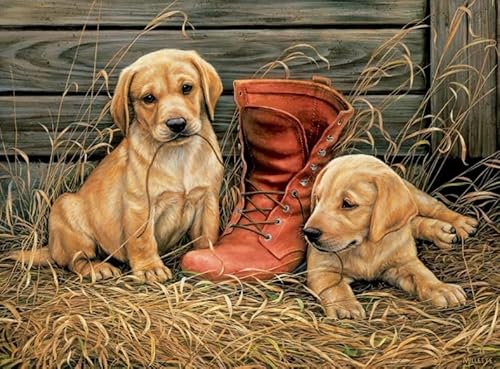 Puzzle 1000 Teile Tierhund-Poster-Puzzle für Erwachsene, Lernspiel, Familien-Dekompressionsspielzeug, Gt488Zw, 50 x 70 cm Puzzle 1000 Teile Tierhund-Poster-Puzzle für Erwachsene, Lernspiel, Familien-Dekompressionsspielzeug, Gt488Zw, 50 x 70 cm von KUTDE