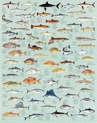 Puzzle 2000 Teile Fischkunst-Poster-Puzzle für Erwachsene, Lernspiel, Familiendekompressionsspielzeug, Qz543Yk, 70 x 100 cm Puzzle 2000 Teile Fischkunst-Poster-Puzzle für Erwachsene, Lernspiel, Familiendekompressionsspielzeug, Qz543Yk, 70 x 100 cm von KUTDE