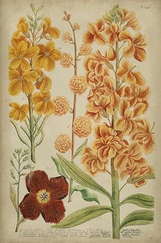 Puzzle 2000 Teile Retro Pflanzen Blumen Illustrationen Poster Puzzle Für Erwachsene Lernspiel Familiendekompressionsspielzeug Xq516Zp 70x100CM von KUTDE