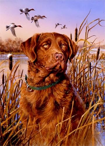 Puzzle 2000 Teile Tierhund-Poster-Puzzle für Erwachsene, Lernspiel, Familien-Dekompressionsspielzeug Gt486Zw 70x100CM von KUTDE