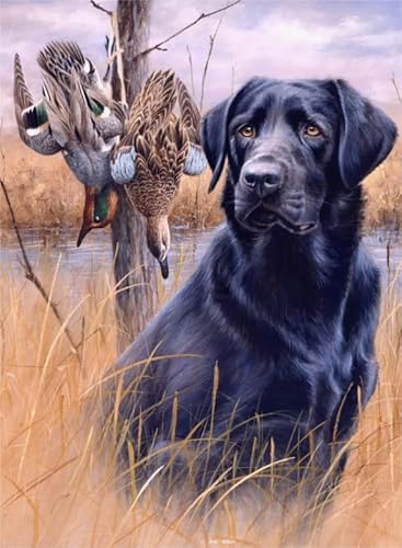 Puzzle 2000 Teile Tierhund-Poster-Puzzle für Erwachsene, Lernspiel, Familien-Dekompressionsspielzeug Gt487Zw 70x100CM von KUTDE