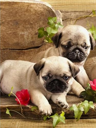 Puzzle 2000 Teile Tierhund-Poster-Puzzles Lernspielzeug für Erwachsene Gt226Zw 70x100CM von KUTDE