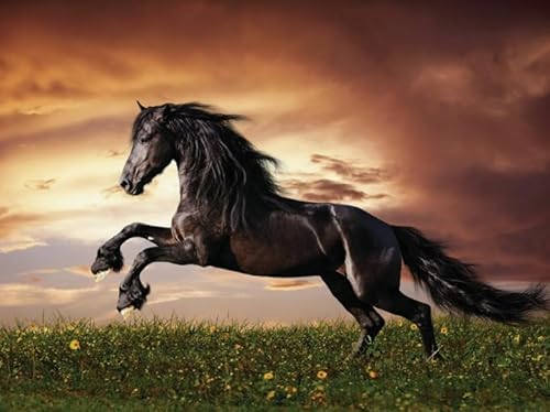 Puzzle 2000 Teile Tierpferd-Poster-Puzzle für Erwachsene, Lernspiel, Familiendekompressionsspielzeug, Xq488Zp, 70 x 100 cm von KUTDE