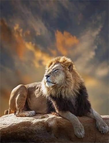 Puzzle 2000 Teile Tierposter Puzzle Für Erwachsene Familiendekompressionsspiele Xq284Zp 70x100CM von KUTDE