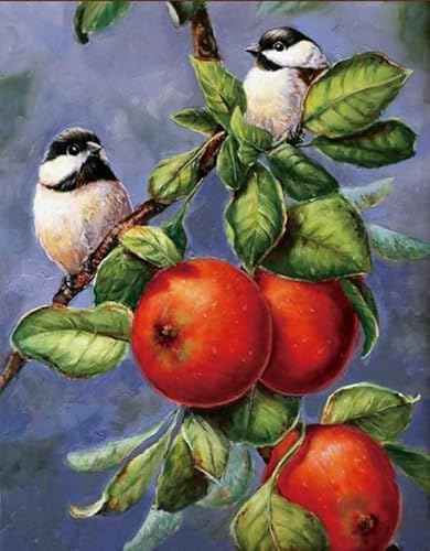Puzzle 2000 Teile Tiervögel Kunstposter Puzzle für Erwachsene Familiendekompressionsspiele Gt356Zw 70x100CM von KUTDE