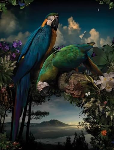 Puzzle 2000 Teile Tiervögel Poster für Erwachsene Familien Puzzle Spielzeug Dekompressionsspiel Qz501Yk 70x100CM von KUTDE