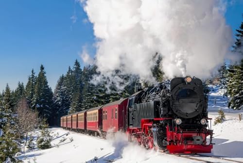 Qw197Zp 1000-teiliges Puzzleteil, Winterzüge, Poster für Puzzlespiel für Erwachsene und Familien, Dekompressionsspiel, 38 x 52 cm Qw197Zp 1000-teiliges Puzzleteil, Winterzüge, Poster für Puzzlespiel für Erwachsene und Familien, Dekompressionsspiel, 38 x 52 cm von KUTDE