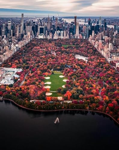 Qz663Yk 1000-teiliges Puzzle, New Yorker Landschaften, Poster, Puzzles, Lernspielzeug für Erwachsene, 38 x 52 cm Qz663Yk 1000-teiliges Puzzle, New Yorker Landschaften, Poster, Puzzles, Lernspielzeug für Erwachsene, 38 x 52 cm von KUTDE