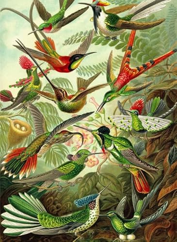 Qz665Yk 2000-teiliges Puzzle, Tiervögel, Farbposter für lustiges Puzzlespiel für Erwachsene, Familienspiele zum Stressabbau, 70 x 100 cm von KUTDE