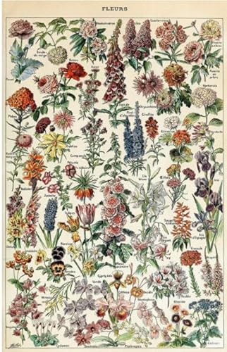 Vintage Botanische Illustrationen Puzzle 1000 Teile Poster für Erwachsene Kinder Spiele Lernspielzeug Geschenk Kx318Zy 50x70CM von KUTDE