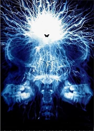 Xq176Zy 2000-teiliges Puzzlespiel „The Butterfly“, Horrorfilm-Poster, lustiges Spiel, Spielzeug, Lernspiel für Erwachsene, 70 x 100 cm von KUTDE