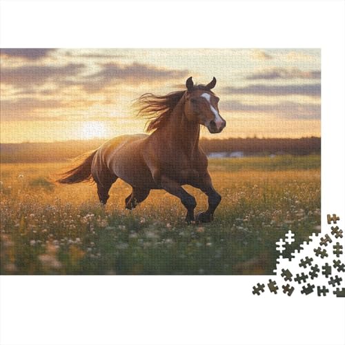 Sonnenuntergang, Wiese Puzzle 1000pcs (75x50cm) Puzzles, Die Für Erwachsene Und Personen Ab 14 Jahren Geeignet Sind von KWFYBEHZ