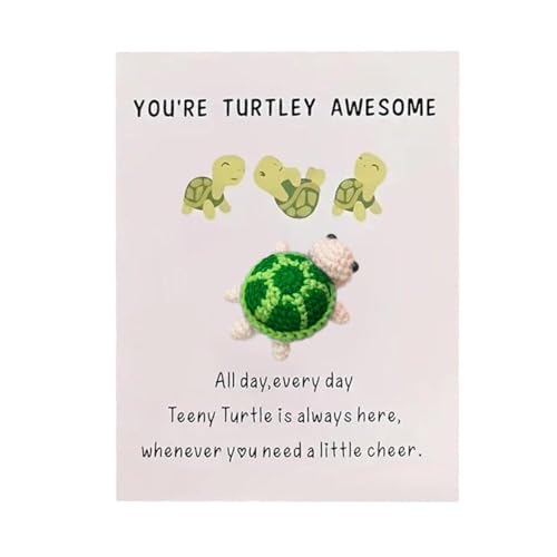 KWJNH You're Turtley Awesome Knitting Turtle Model Toy Party Charm Friend Gift von KWJNH