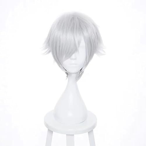 Anime-Cosplay-Perücke, Anime Death Parade Decim Perücke Grau Farbverlauf Schwarz Einstellbar Mit Perückenkappe von KXAOXGRC