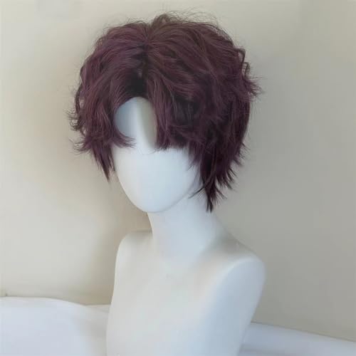 Anime-Cosplay-Perücke, Cosplay Perücke Love and Deepspace Rafayel Dunkelviolett Kurzes Haar 2 Stück von KXAOXGRC