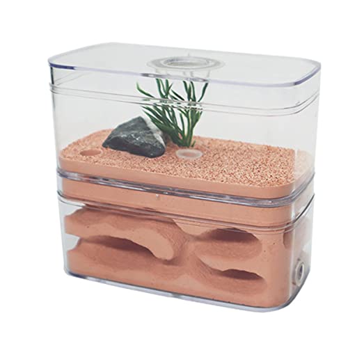Ameisennest, AntHouse Gips Formicarium Ameisenfarm Display Box Insektenvilla Workshop Ameisen Fütterung Wissenschaft Bildungs von KXCR