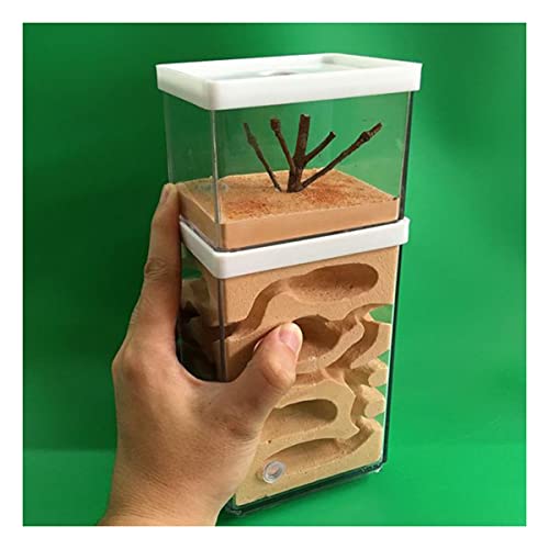 Ameisennest Natürliche Gips Ant Nest Ameisenfarm Ameisen Villa Formicarium Ameisenfutter Farm Haus Ameisen Zucht Box Ant House Für Ameisen Fütterung Habitat von KXCR