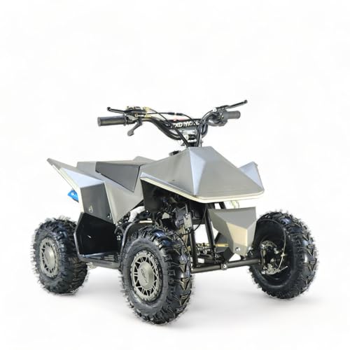 KXD M2 E-Starter 6" 49ccm 2T Quad Mini ATV Miniquad Benzinmotor Kinderquad Kinder Enduro Pocketquad von KXD