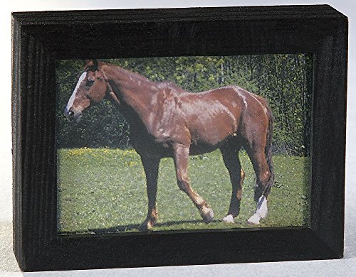 Kahlert Licht 49645 Puppenhauszubehör, schwarz, mit Motiv Kahlert Licht 49645 Puppenhauszubehör, schwarz, mit Motiv von Kahlert Licht