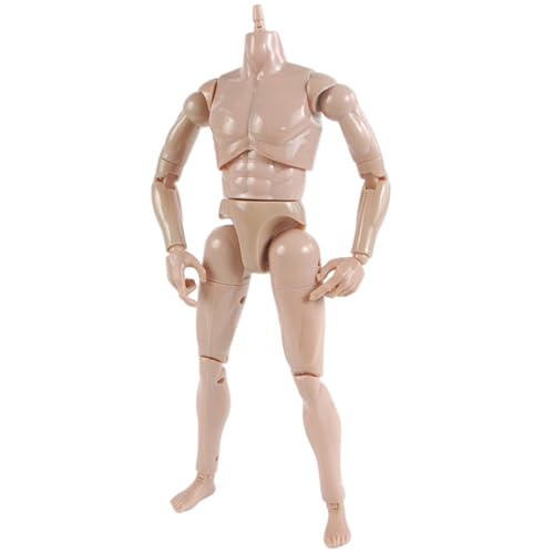 1/6 Skala Actionfigur Körper, 10, 2 Kopfloses Flexibles Puppenmodell für Zeichnen/Anpassung, artikulierter Künstler Mannequin mit 20+ Gelenken von Kalastussaari