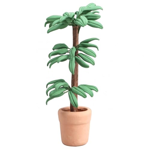 Kalastussaari 1 12 Skala Dollhouse Accessoires, Mini Dollhouse Accessoires Brazilian Fortune Tree, DIY Miniature Dollhouse Accessoires für Dollhouse Dekoration für Puppenhausliebhaber Kalastussaari 1 12 Skala Dollhouse Accessoires, Mini Dollhouse Accessoires Brazilian Fortune Tree, DIY Miniature Dollhouse Accessoires für Dollhouse Dekoration für Puppenhausliebhaber von Kalastussaari
