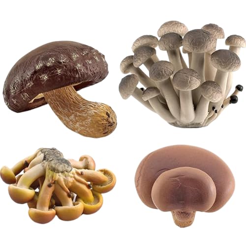 Süße winzige Pilze, 4pcs/Set Mini -Gartenpilze Ornamente, realistische falsche Pilze, Pilzmodell Garten Miniaturstatue Landschaft DIY Bonsai Craft für Home Decoration Supplies Süße winzige Pilze, 4pcs/Set Mini -Gartenpilze Ornamente, realistische falsche Pilze, Pilzmodell Garten Miniaturstatue Landschaft DIY Bonsai Craft für Home Decoration Supplies von Kalastussaari