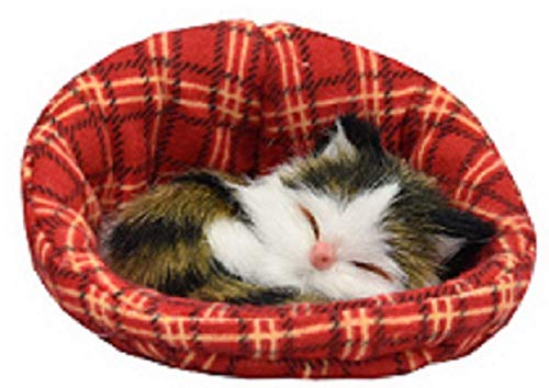KandyToys Kleines Kätzchen im Korb (6 Designs – ein zufällig ausgewähltes Modell) von KandyToys