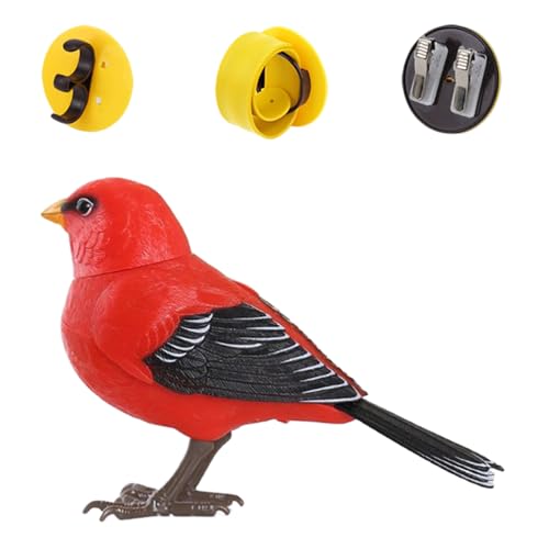 Kanoauo Spielzeug Vögel Für Kinder,Vogel Figuren Spielzeuge | Niedliches Realistisches Tier Interaktives Sensorikspiel Für Schreibtisch Deko Raum Wartebereich von Kanoauo