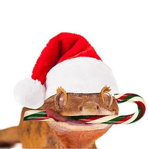 Kapmore Haustier-Weihnachtsoutfit – Entzückende Weihnachtsmann-Eidechsen-Mütze, leichte Urlaubs-Kopfbedeckung für Reptilien von Kapmore