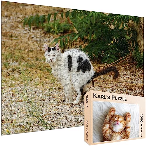 Scherzpuzzle Geschenk Kätzchen/Katze - 1000 Teile Puzzle mit falschem Kartonmotiv als lustige Geschenkidee, Scherzartikel oder Scherzgeschenk Scherzpuzzle Geschenk Kätzchen/Katze - 1000 Teile Puzzle mit falschem Kartonmotiv als lustige Geschenkidee, Scherzartikel oder Scherzgeschenk von Karl's Puzzle